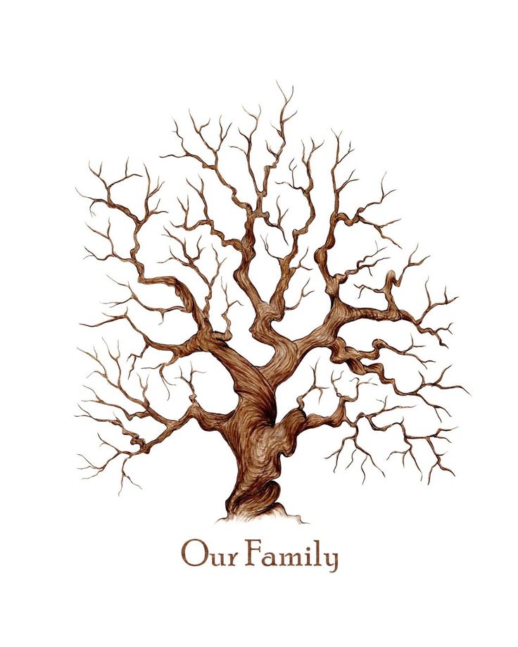 Family Tree Drawing | Family Trees ...
