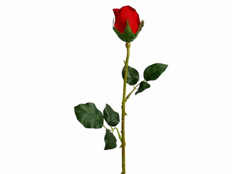 Long Stem Rose Clipart