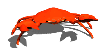 Aquarium Fish Animated Gif Pictures at Best Animations