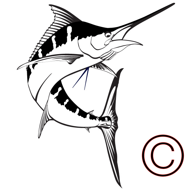 Blue marlin clipart free