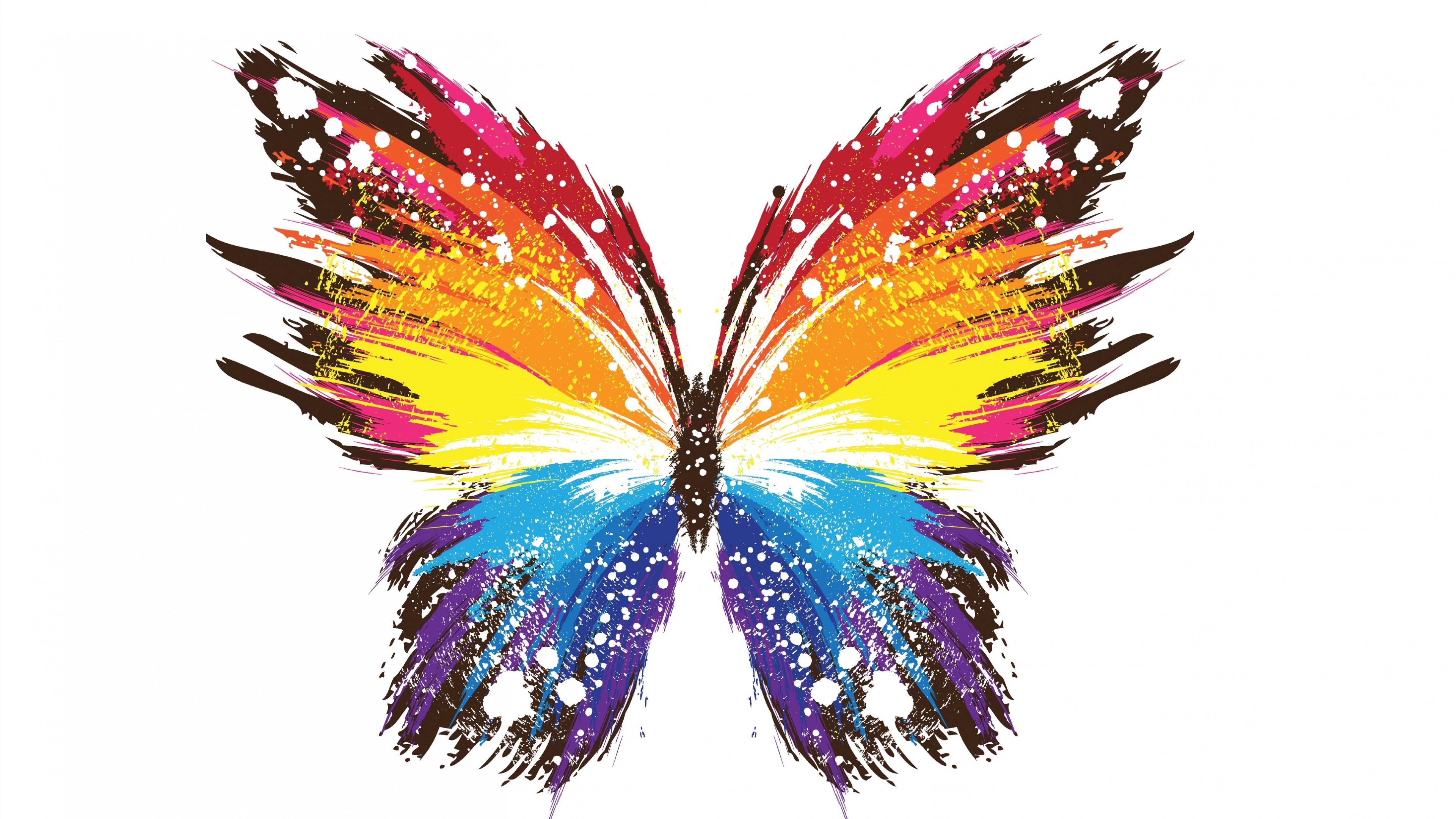 colorful, #butterfly, #artwork, #paint splatter, #white background ...