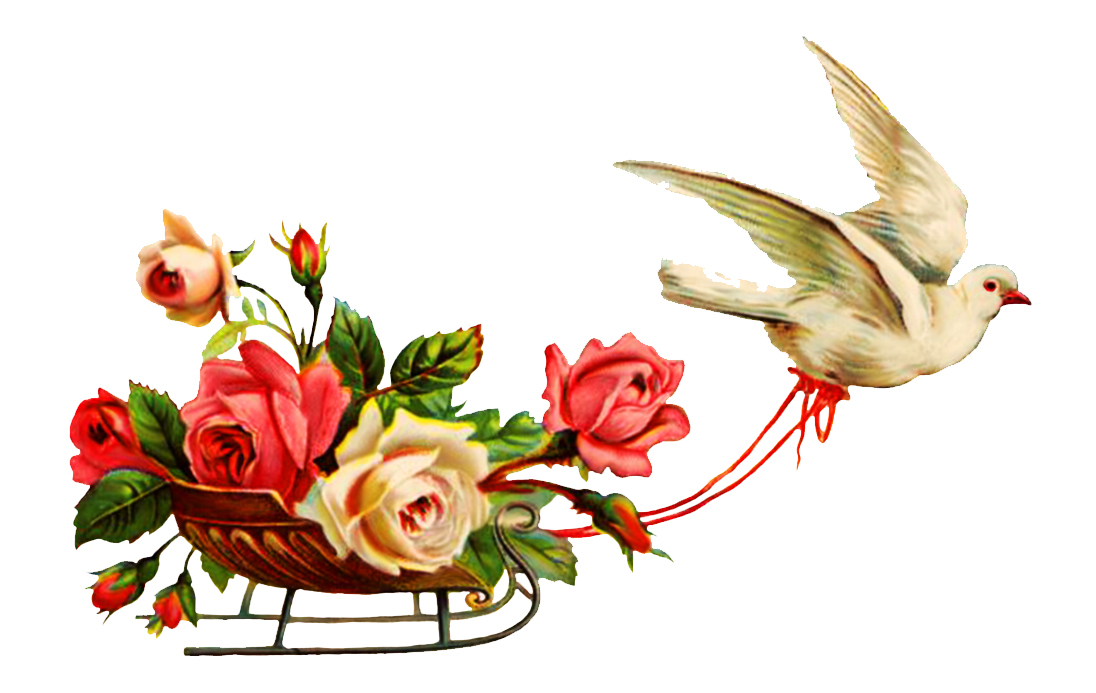 Wedding card clipart color
