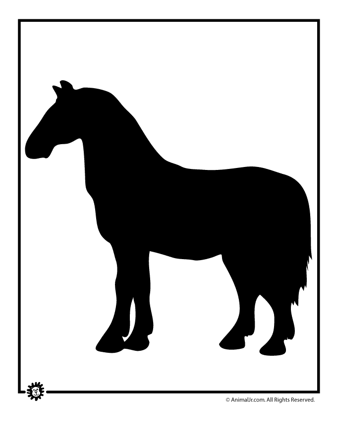 1000+ images about Horse Study | Stories for children ...