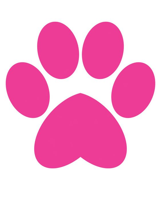 Puppys, Offices and Cheetahs