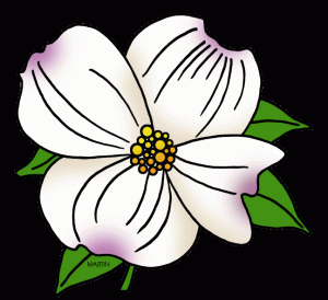 Dogwood Clipart - Tumundografico