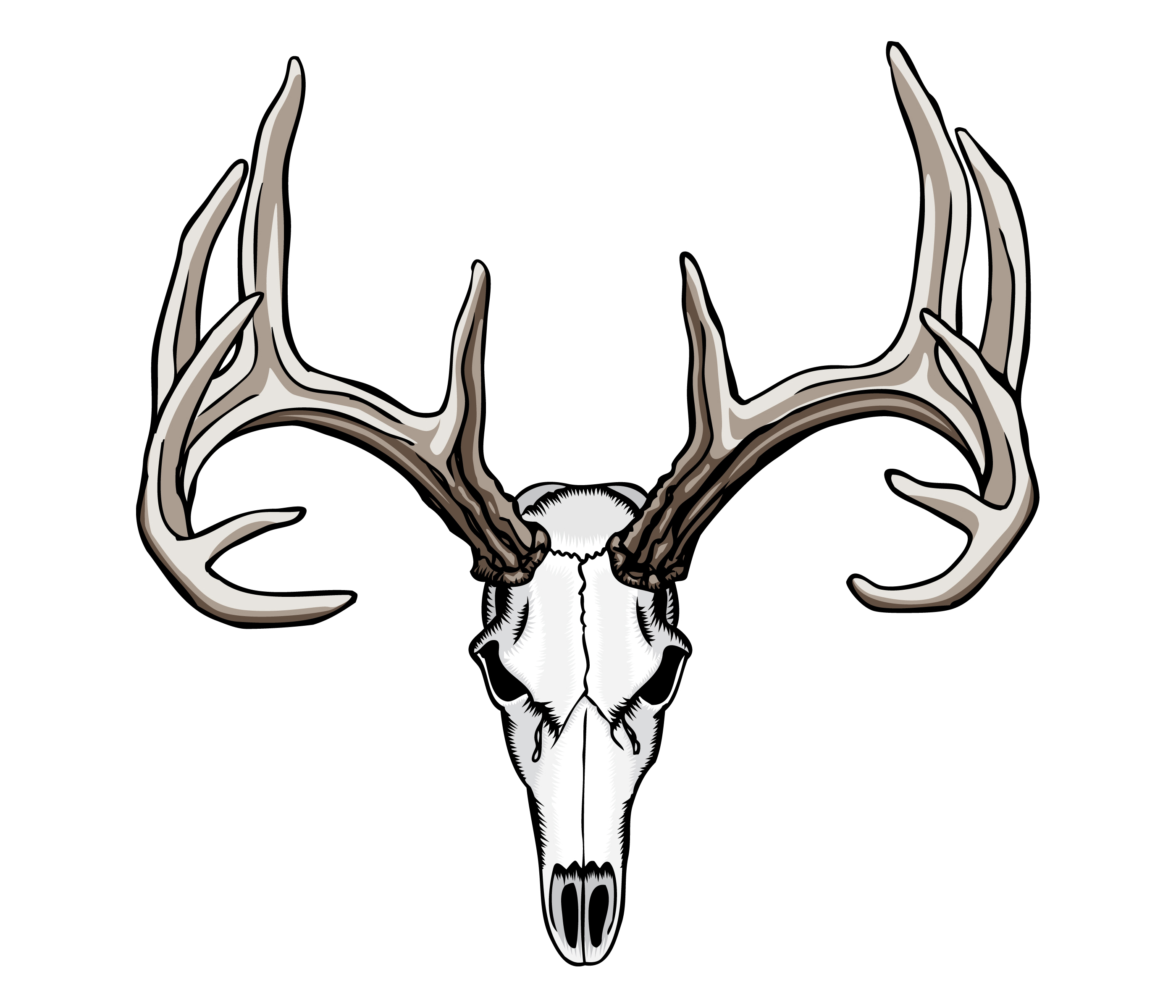 Buck deer skull clip art