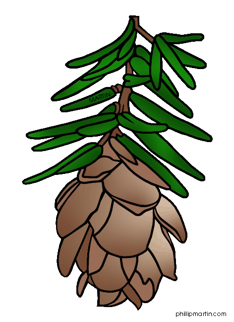 Hemlock Clipart - Free Clipart Images