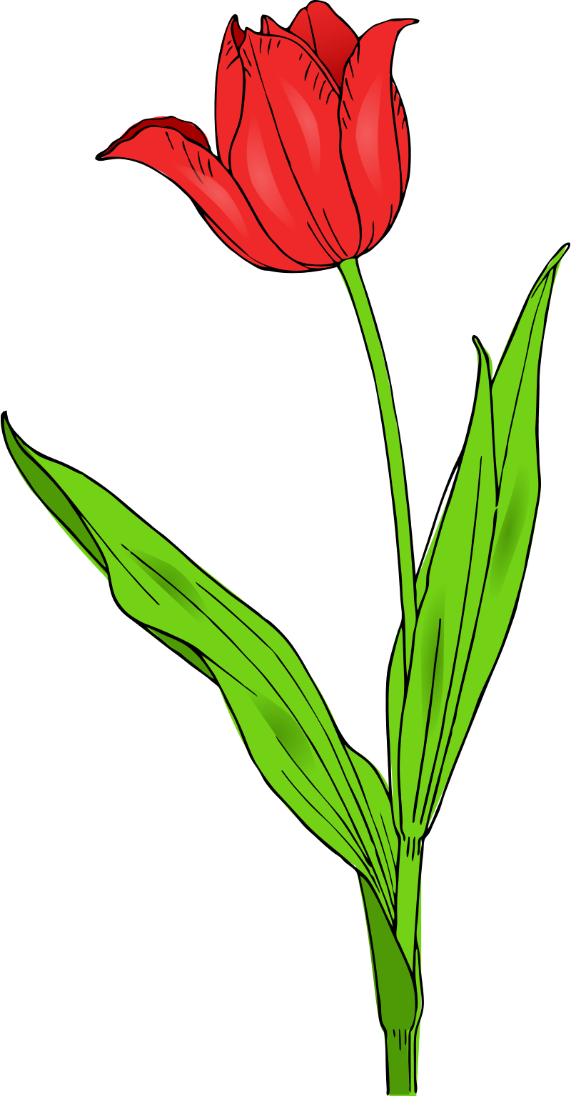 Microsoft Office Clip Art Free Images