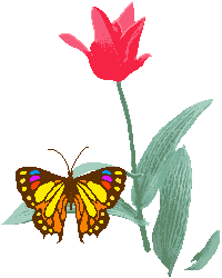 â?· Spring: Animated Images, Gifs, Pictures & Animations - 100% FREE!
