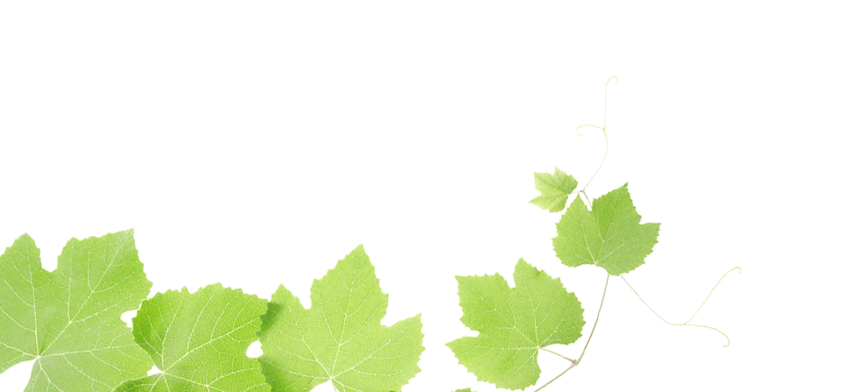 Grapes Leaves | Free Download Clip Art | Free Clip Art | on ...