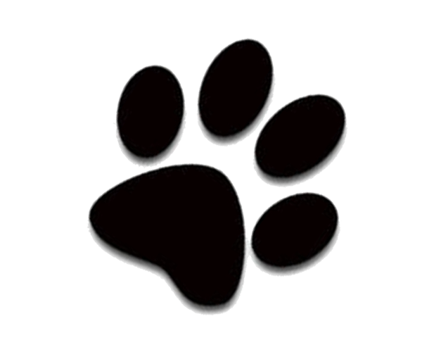 Cat Paw