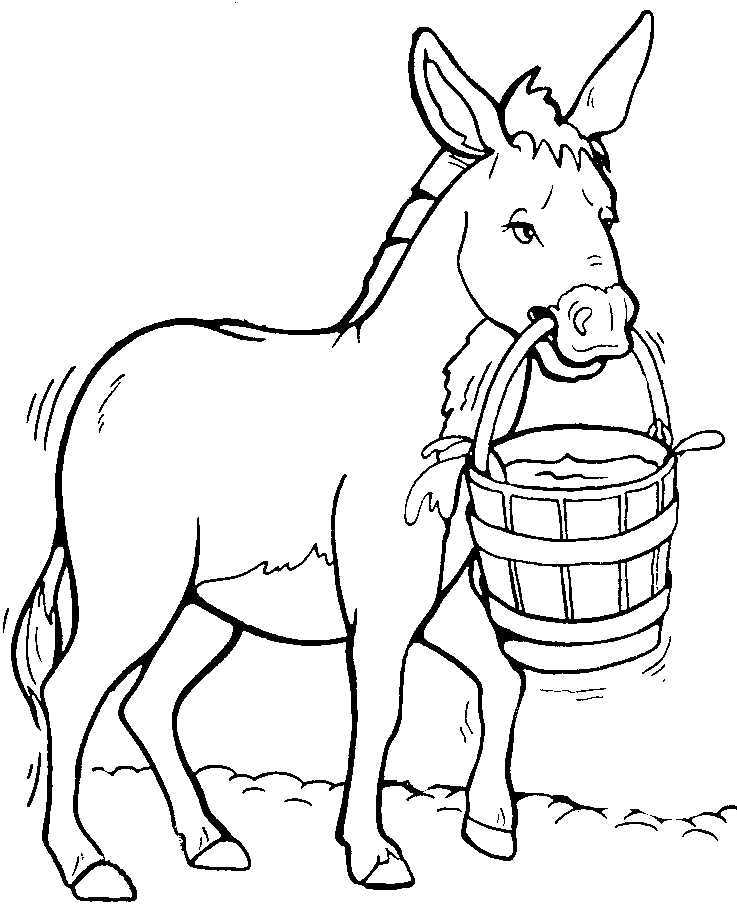 Donkey Drawing - ClipArt Best