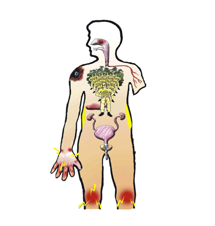 Systems of the Human Body with interactive GIFs - Docsity