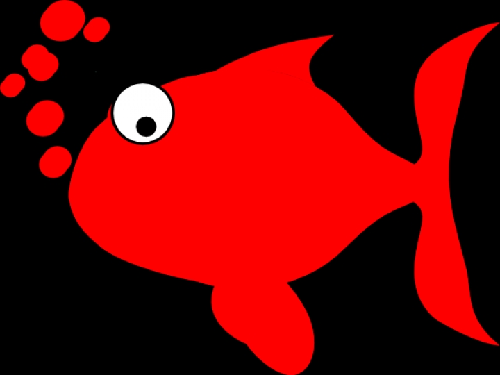 Red fish clipart