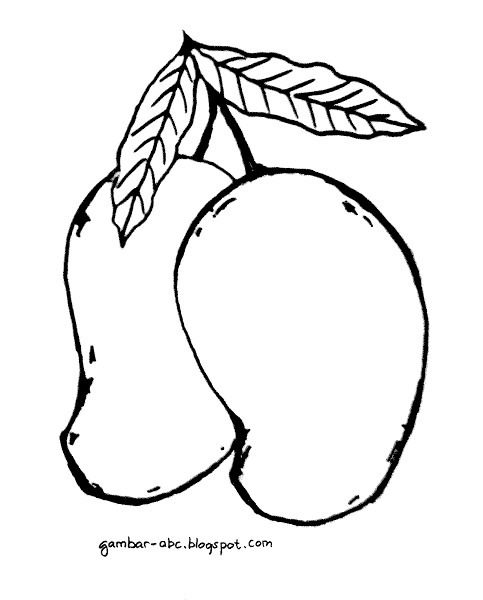 Mewarnai Mangga Arumanis - Contoh Gambar Mewarnai