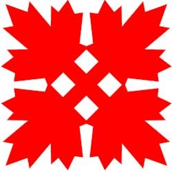 Canadian Maple Leaf | Adult ...