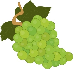 Green Fruit Clipart