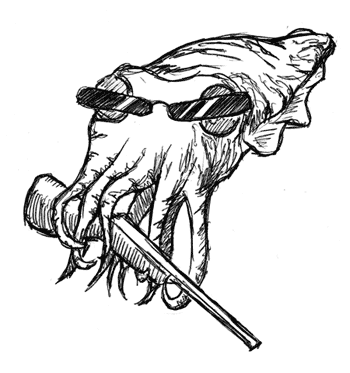 cuttlefish | Albino Kraken