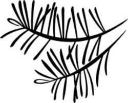 Pine branch clip art