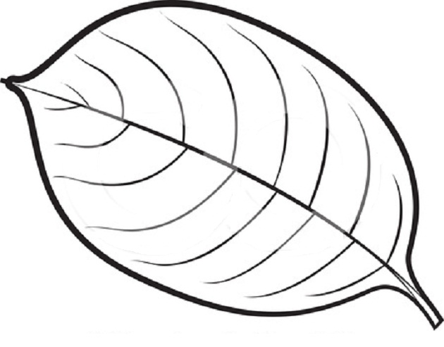 Printable free coloring pages of tree with leaves - Pipress.net