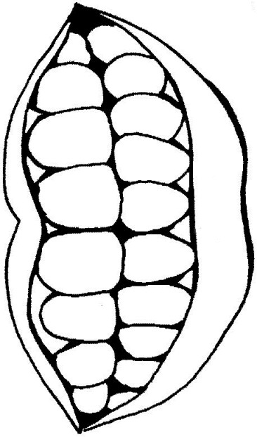 Mouth Coloring Page - Color Book