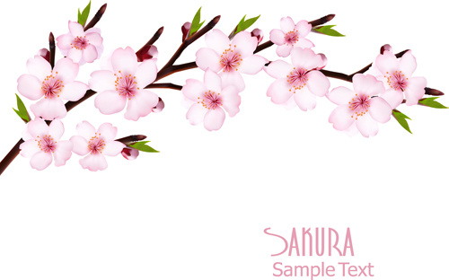 Sakura free vector download (38 Free vector) for commercial use ...