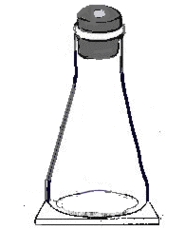 Erlenmeyer Flask Drawing Clipart - Free to use Clip Art Resource