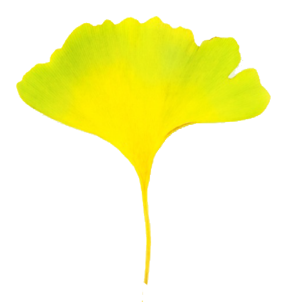 Fall Leaf Clip Art