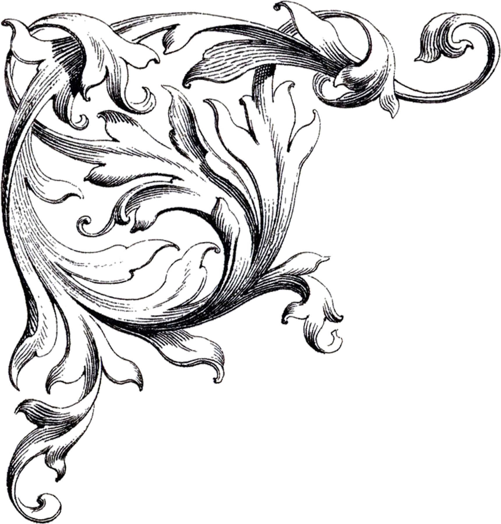 Free Wedding Clip Art Scrolls - The Graphics Fairy