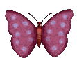 Animated Butterfly Gifs - Butterfly Clipart