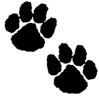 Paw Print Stickers | Paw Print Decals - Car Stickers