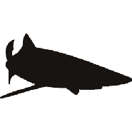 Marine - Animals - Shapes - Stencils