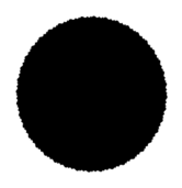 scallop_cirlce_thumb