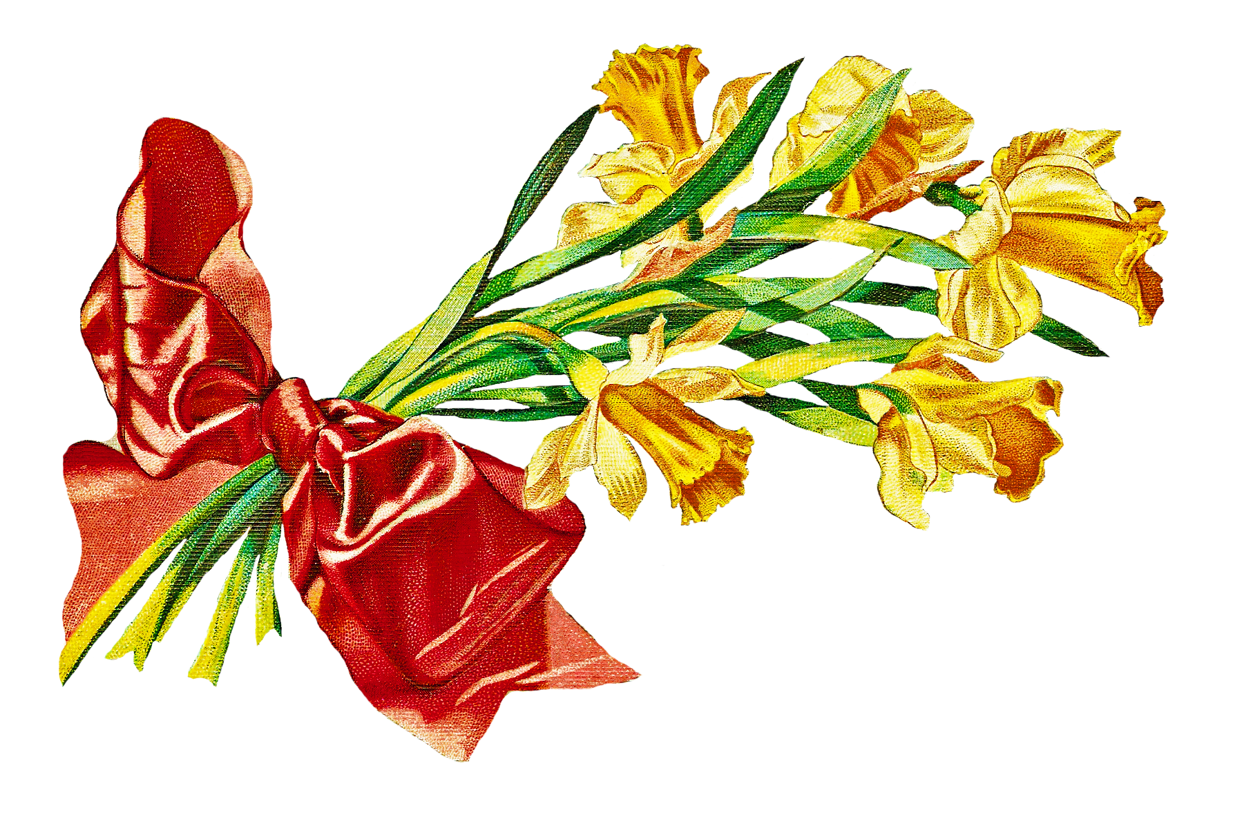 CatnipStudioCollage-: Free Vintage Clip Art - Daffodil Bouquet