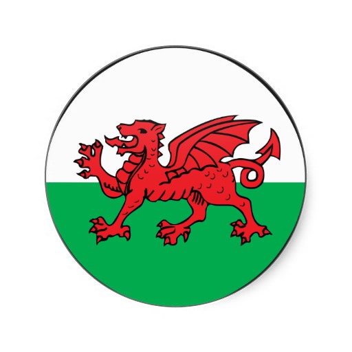 Wales | The new way to play cricket!
