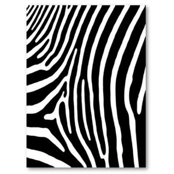 Are zebras black with white stripes or white with black stripes?