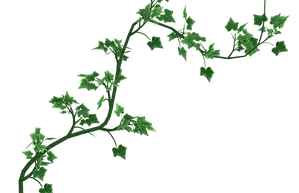 Eco-Glo Cleaning Professionals | Cleaning Service | Scranton, Pa