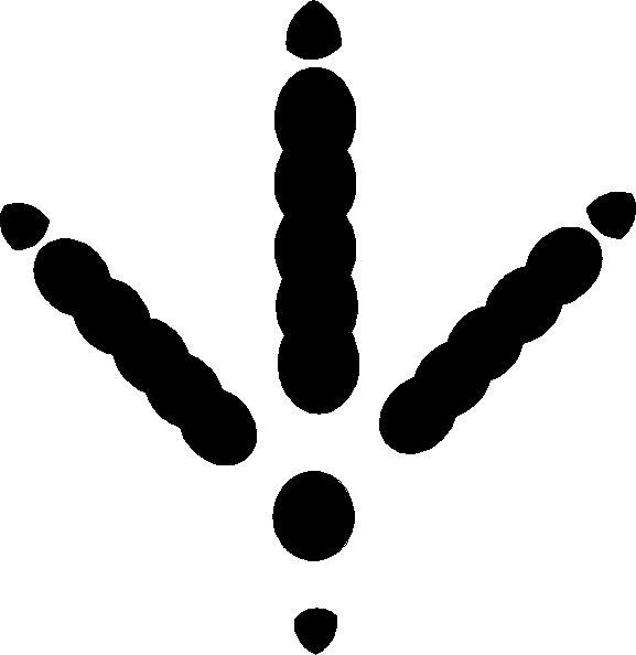 Turkey Tracks Clipart
