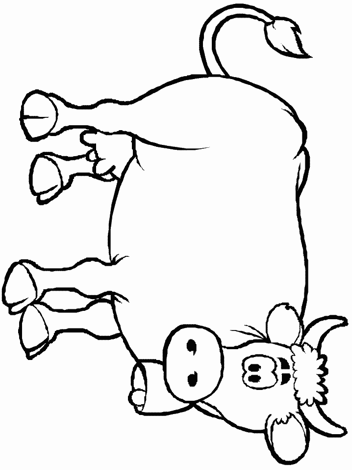 Cartoon Cow Face