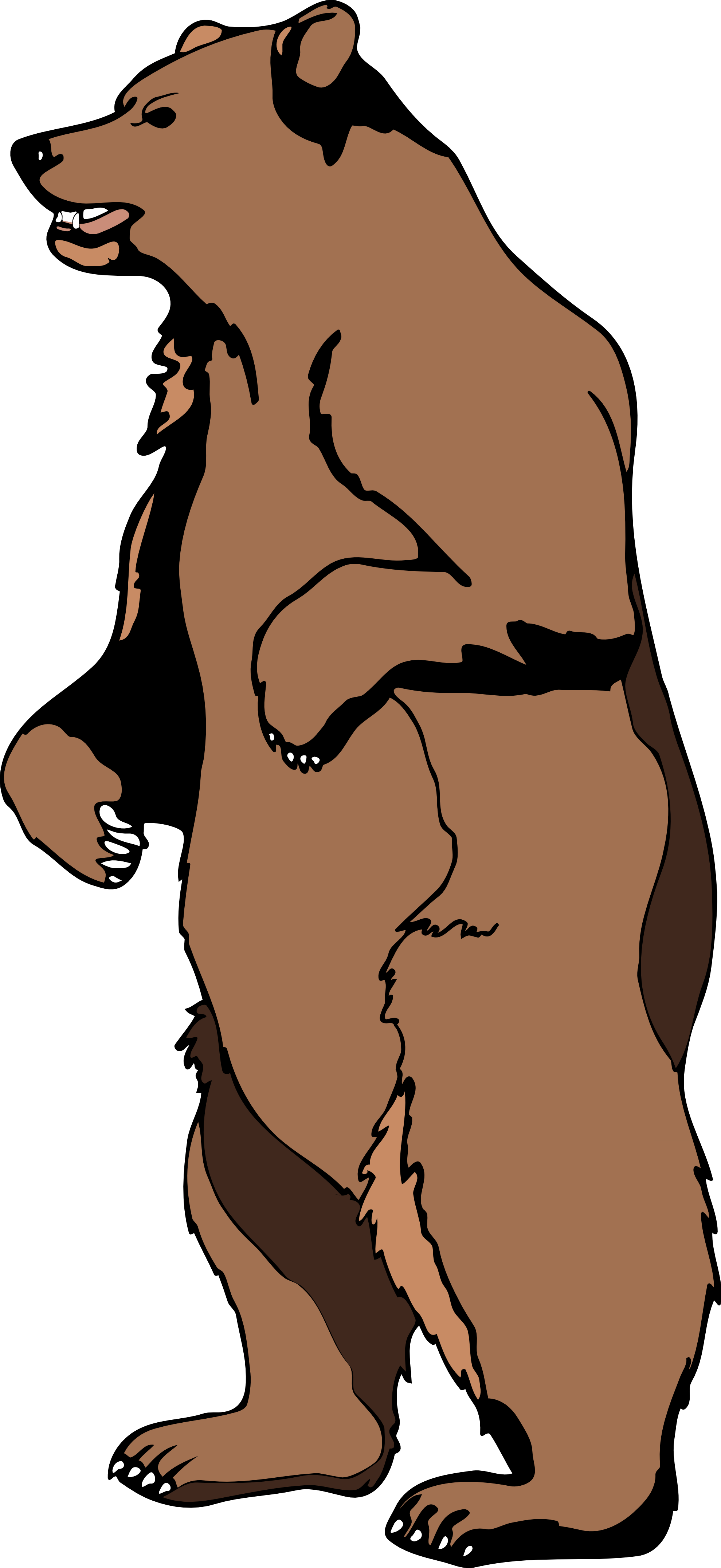 Clipart Bear - Tumundografico