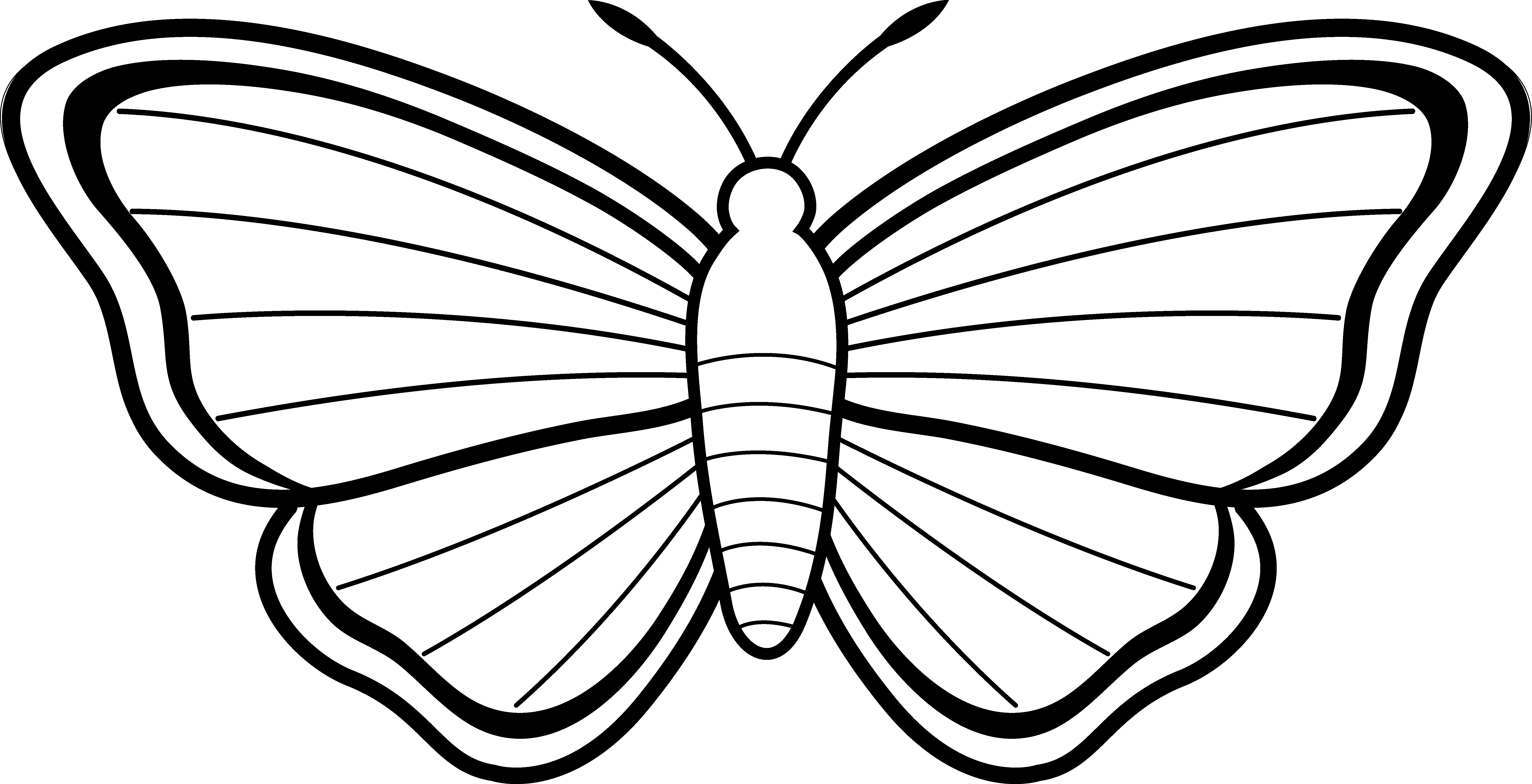 Clipart Butterfly Outline - Free Clipart Images