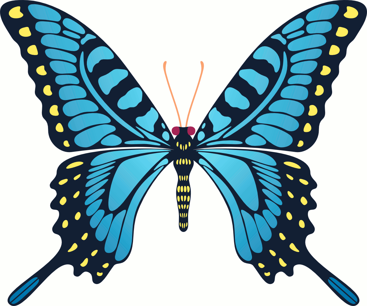 Animated Butterfly Flying - ClipArt Best