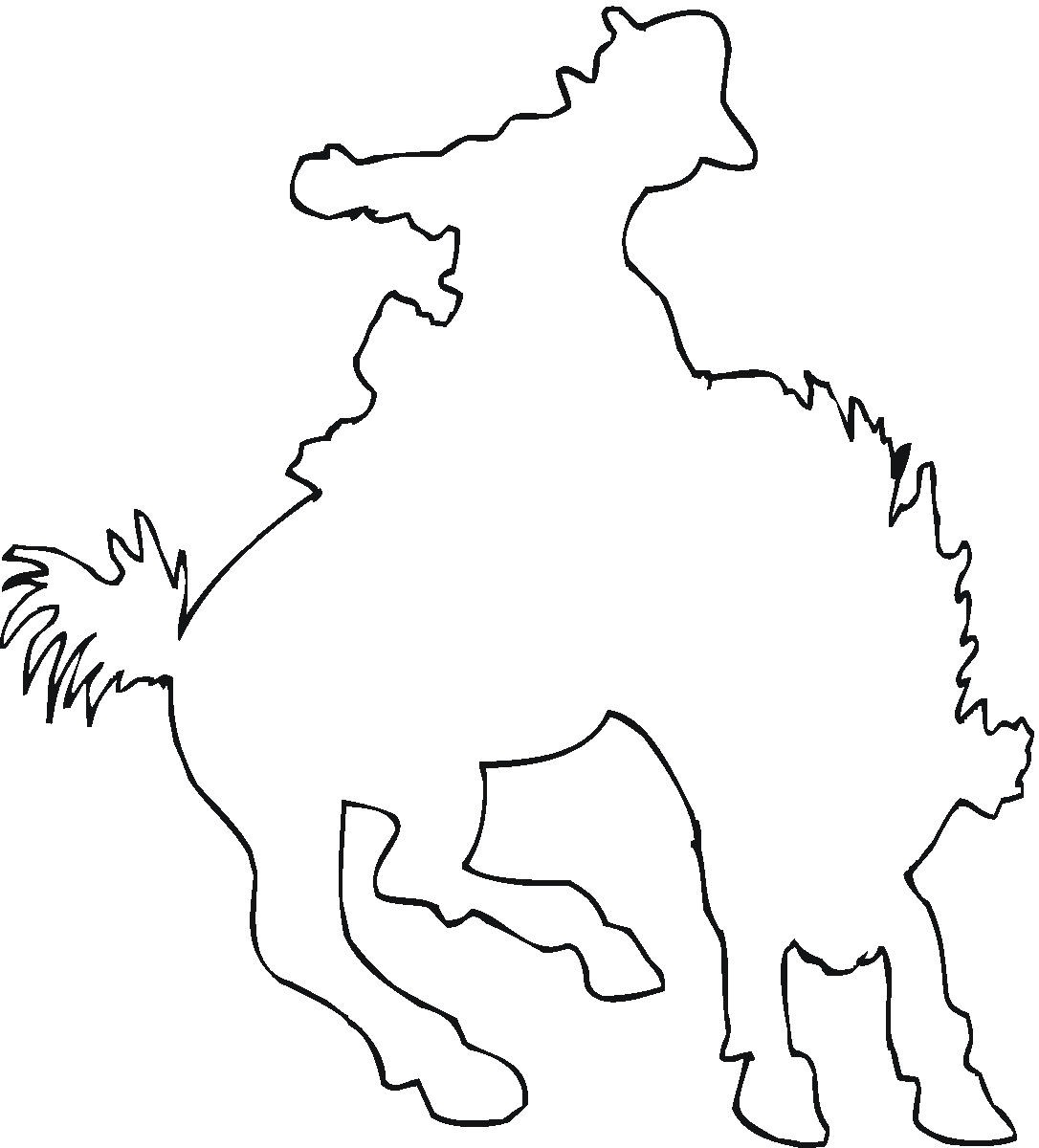 Cowboy on the Bull Outline Coloring Online | Super Coloring