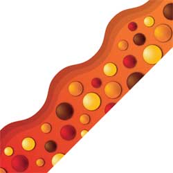 Simply Borders™, Fall Bubbles (EP3170) - EP3170 - Edupress