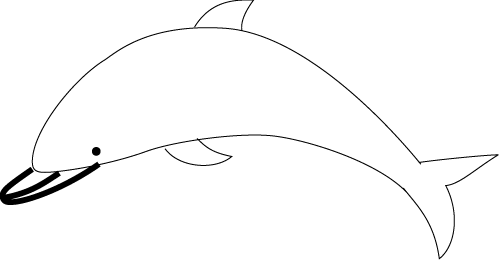 How To Draw A Dolphin