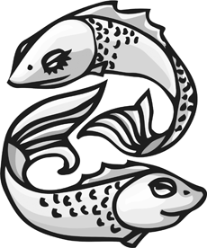 Make Koi Fish Drawings Your Work of Art