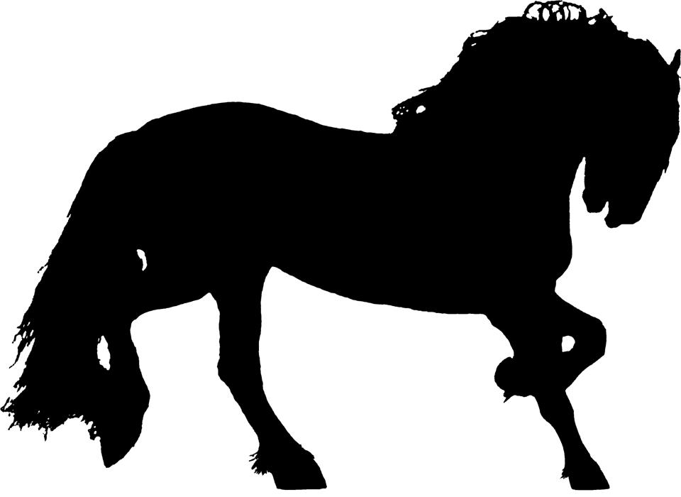 Torden's Page for the Novel: Torden, Hear the Thunder