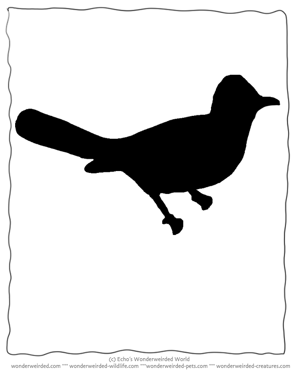 Bird Silhouette Jay free Printables,Echo's Jay Bird Stencils ...