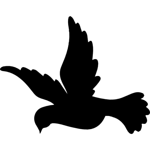 Flying Dove Vectors, Photos and PSD files | Free Download