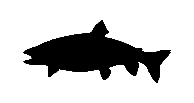 Trout Silhouette Clipart